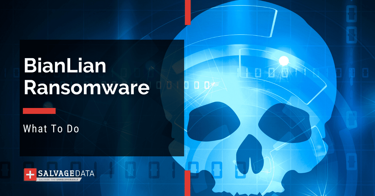 How To Remove BianLian Ransomware - SalvageData